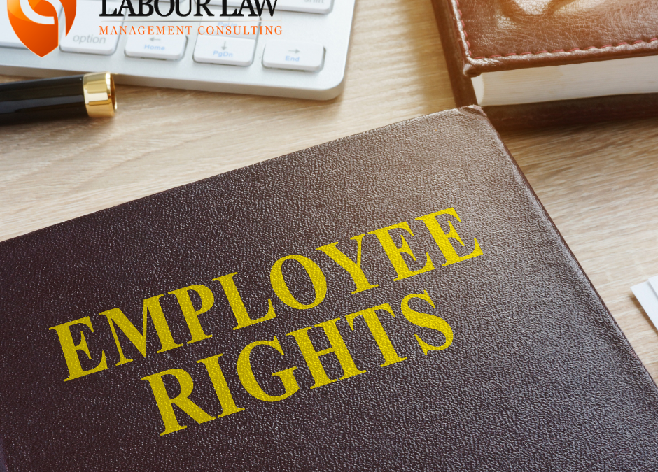 Employment Contract Laws – Employer and Employee Legal Obligations
